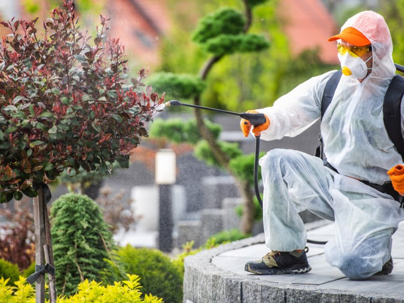 Gölhisar Haşere İlaçlama